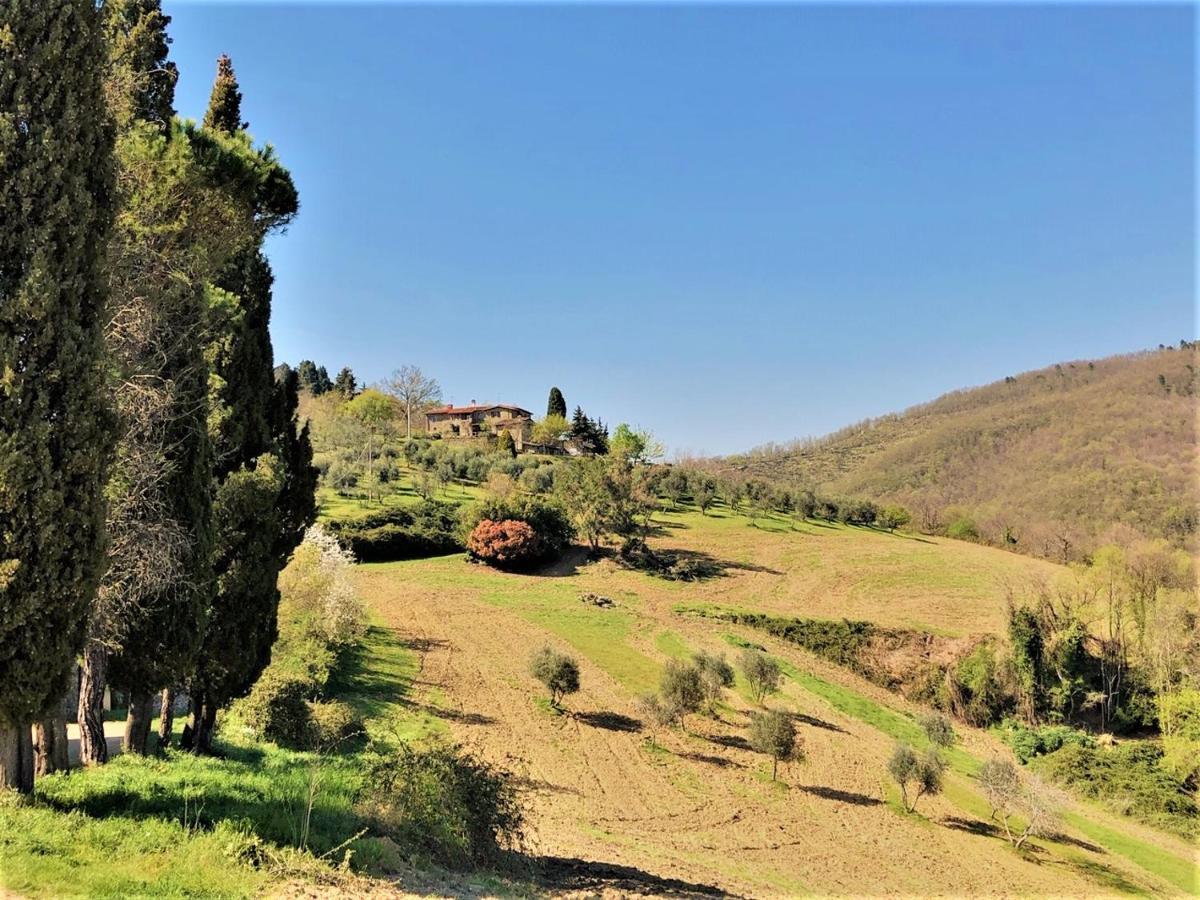 Agriturismo La Sala Greve in Chianti Dış mekan fotoğraf
